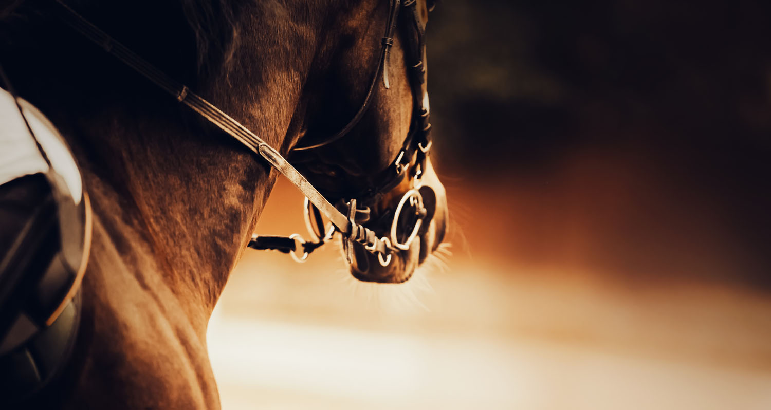 Equine Retail Group